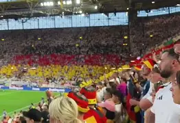 九游在线平台官网- 托特纳姆热刺vs曼彻斯特城 